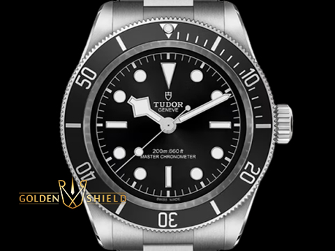TUDOR 帝舵 Heritage Black Bay 碧灣 7941A1A0NU-0001 水鬼 新款黑水鬼 雪花針 不鏽鋼 7941A 自製機芯搭配最新快速調節「T-fit」折疊扣 2026年保單 新式保卡 潛水錶 自動上鍊 41mm